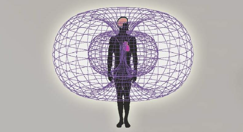 Visual theme for Shape of the heart’s electromagnetic field